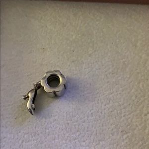 Pandora charm